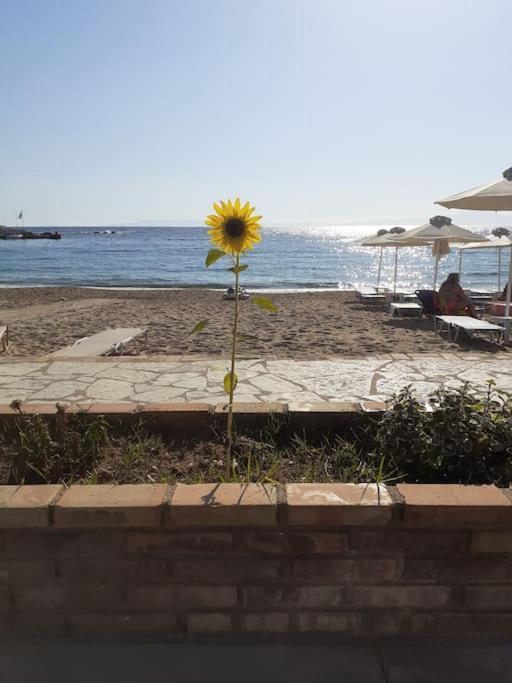 Stoupa Beachside Retro Apartment Екстериор снимка